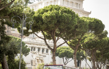 Sightseeing Experience7