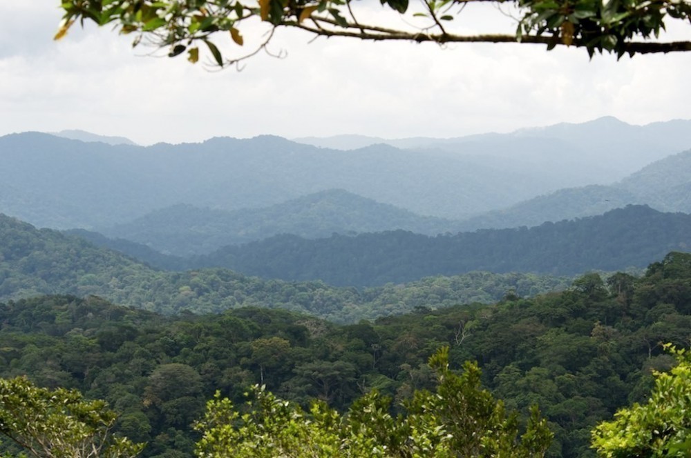 Chagres National Park Sights & Attractions Project Expedition