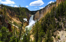Summer Wildlife Tour: Yellowstone National Park Full Day Tour