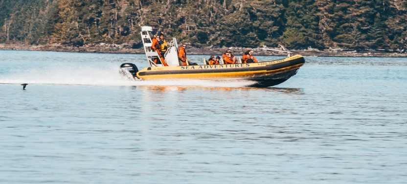 Zodiac Whale Watching from Telegraph Cove
