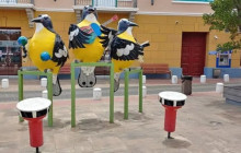 Aida Travel Services5