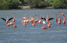 Aida Travel Services6