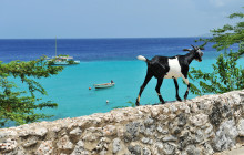 Aida Travel Services16