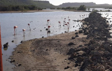 Aida Travel Services4