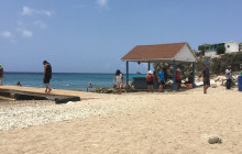 Aida Travel Services12