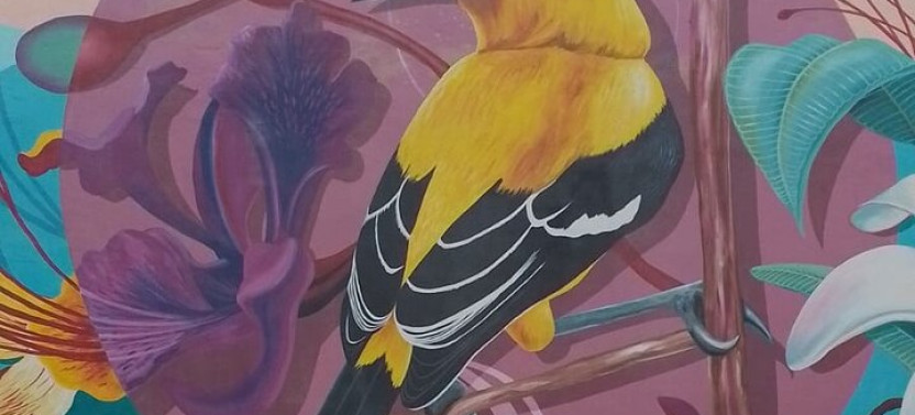 The Curacao's Colorful History Walking Tour