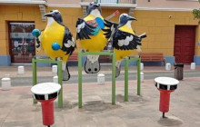 Aida Travel Services13