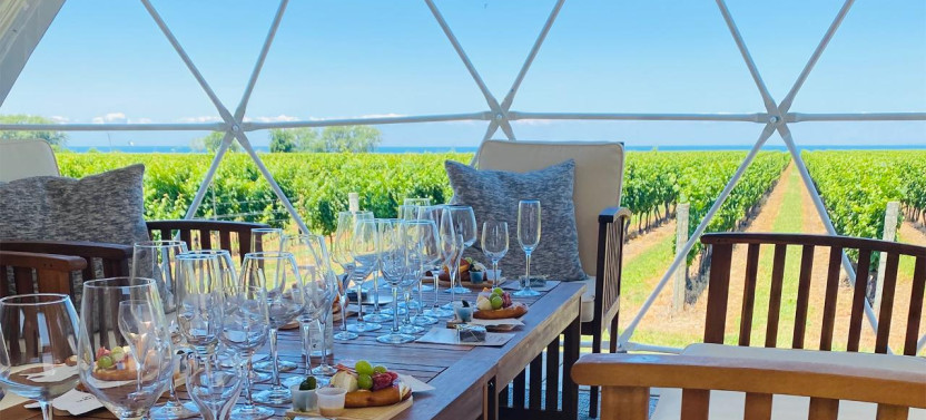 Private Vineyard Dome Tasting With Lake Ontario Views