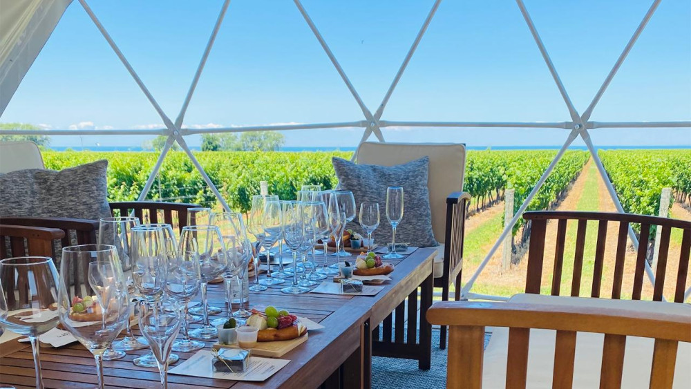 Private Vineyard Dome Tasting With Lake Ontario Views