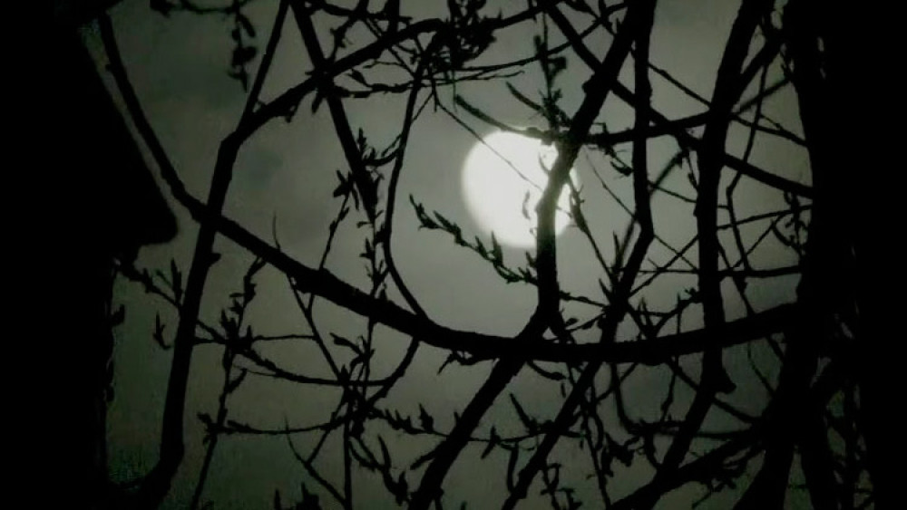 Edinburgh: Nighttime Ghost Tour with an English Speaking Tour Guide