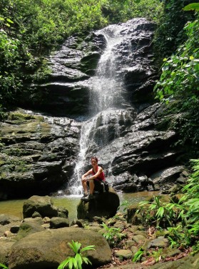 The Explorer