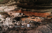 Sacred Owl Tours5