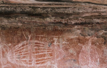 Sacred Owl Tours11
