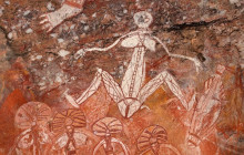 Sacred Owl Tours15