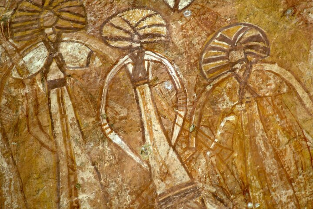 Sacred Owl Tours