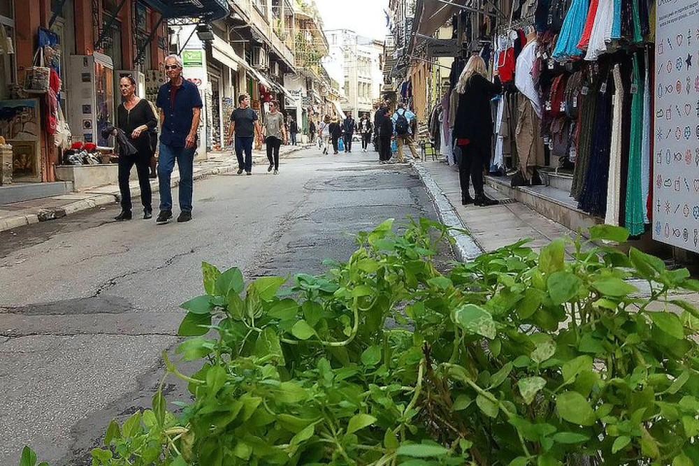 Food around Athens