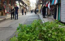 Food around Athens13