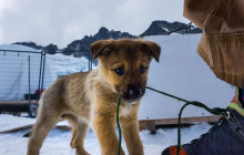 TEMSCO Helicopters, Inc.1