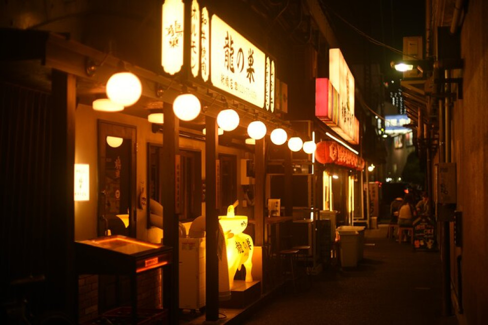 Venture Japan