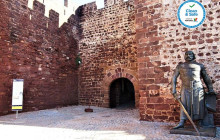 Alsafari Tours5