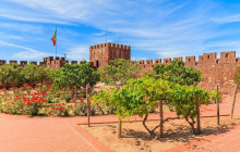 Alsafari Tours6