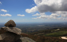 Alsafari Tours8