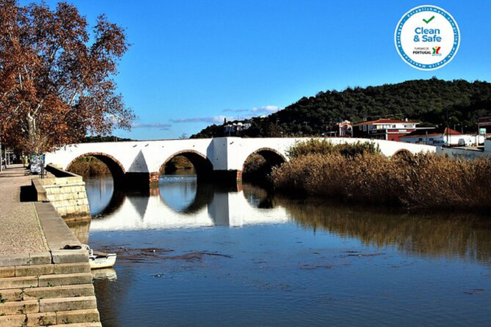 Alsafari Tours