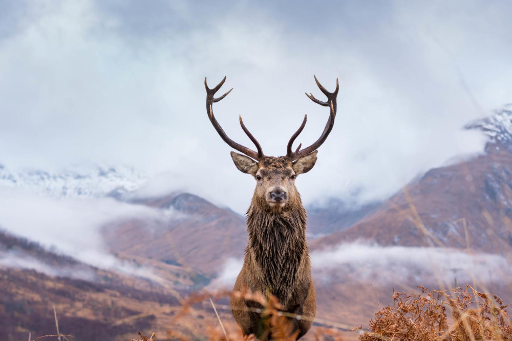 Aberdeen Shore Excursion - Peterhead Prison Museum