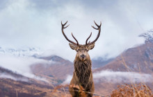 SPIRIT JOURNEYS LTD1