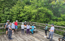 Triangle Adventures19