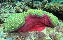 Lembongan Watersport11