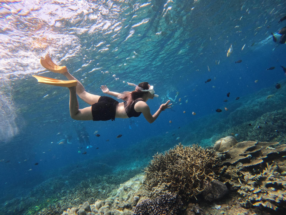 Half-Day Snorkeling at 3 Top Sites with Manta Rays from Bali