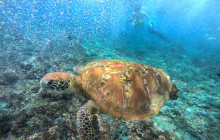 Lembongan Watersport6