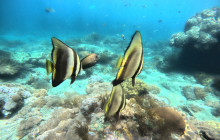 Lembongan Watersport7