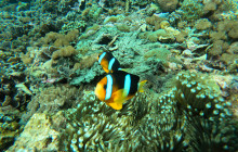 Lembongan Watersport5