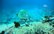 Lembongan Watersport9