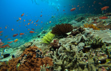 Lembongan Watersport10