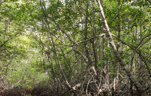 Lembongan Watersport6