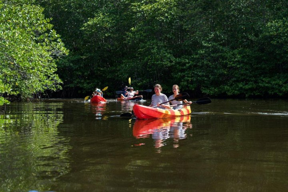 1-Hour Mangrove Adventure by Kayak, SUP, or Boat in Lembongan with Pick-up