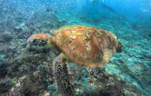 Lembongan Watersport5