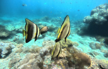 Lembongan Watersport7