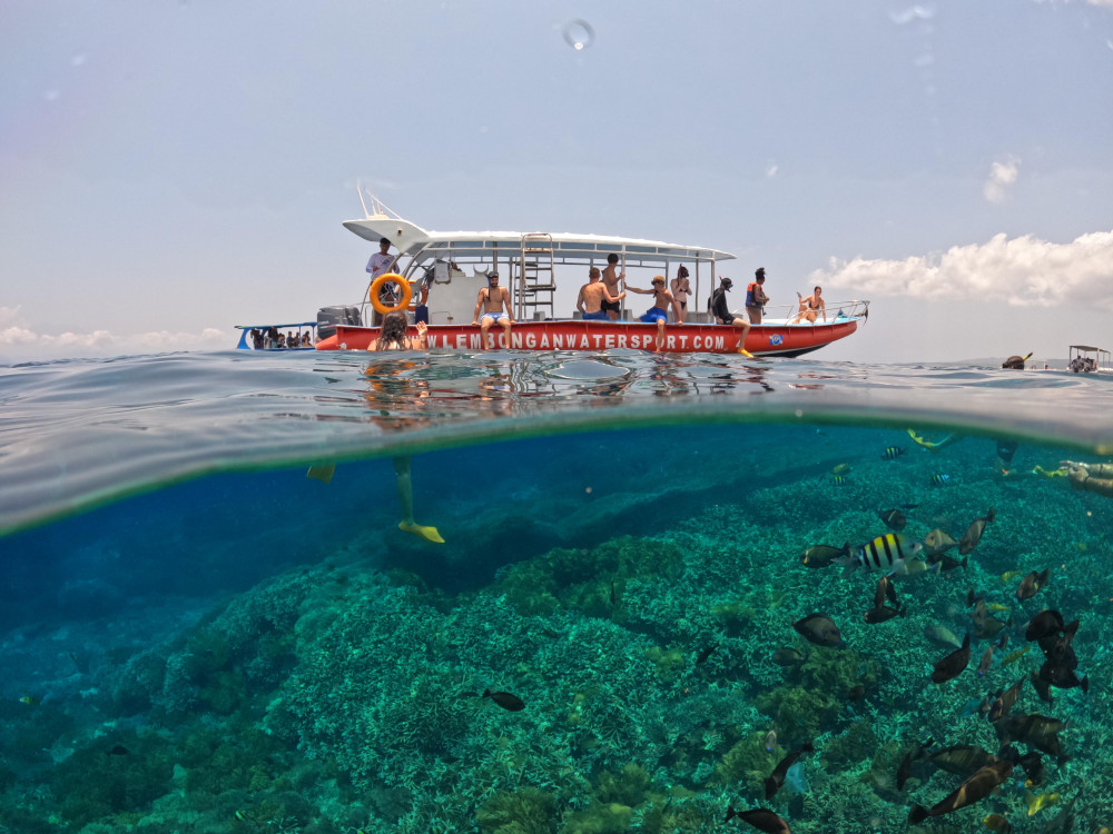 Full-Day Nusa Penida Manta Ray Snorkeling, Buffet Lunch & Mangrove Kayak
