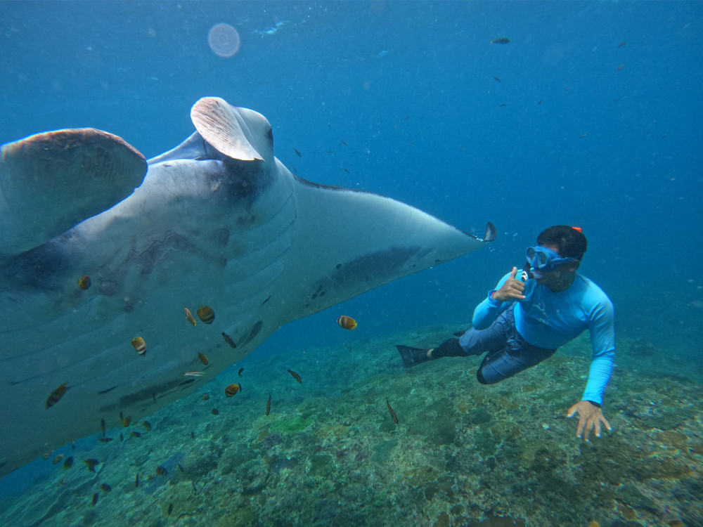 Nusa Penida & Lembongan Manta Snorkeling With Buffet Lunch and Mangrove Kay