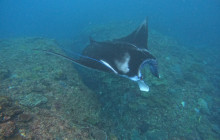 Lembongan Watersport17