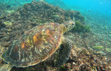 Lembongan Watersport11