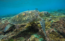 Lembongan Watersport12