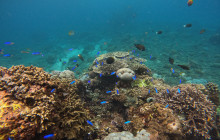 Lembongan Watersport13