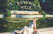 LA VIP Tours & Charters6