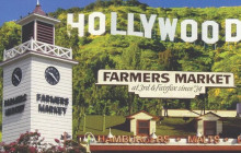 LA VIP Tours & Charters20