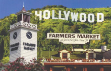 LA VIP Tours & Charters13